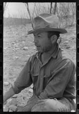 Kimble County Texas 1940 oveja migratoria cabra esquiladora ranchero de descanso