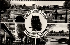 RPPC Royal Tunbridge Wells Good Luck From vintage postcard v857
