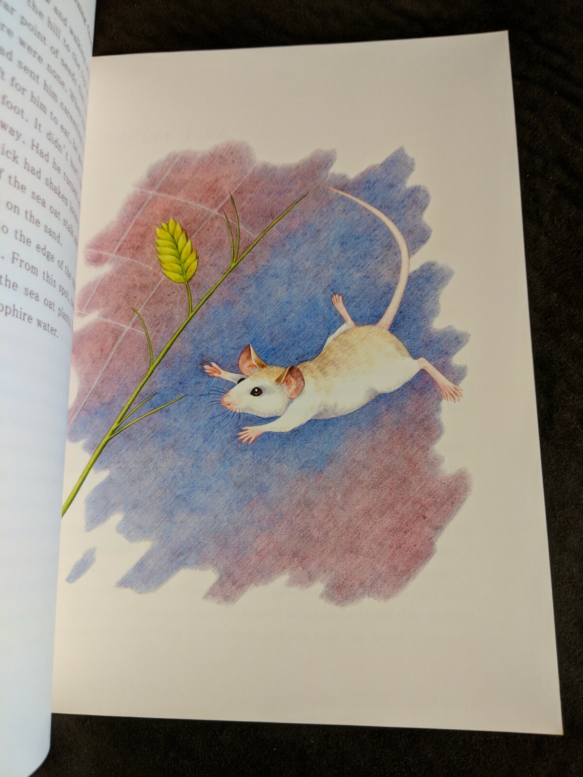 Picture 3 of 5