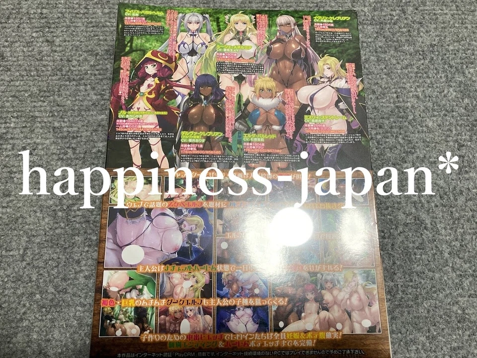 Windows PC Game Youkoso Sukebe Elf no Mori e Another World Girls Lune Soft Japan - Image 4 of 4