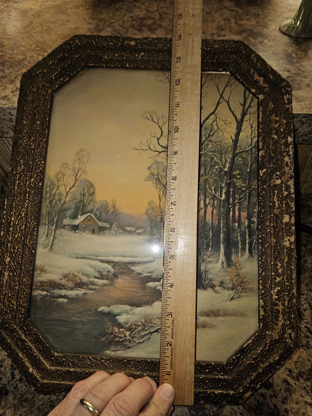 Picture 5 of 5