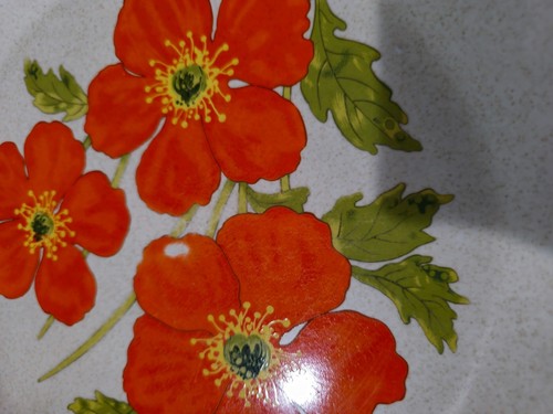 Lenox FIRE FLOWER 10 PCS 4 Dinner Plates 6 Bread & Butter Temperware Made in USA - Picture 4 of 12