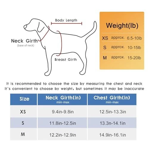 Dog Harness and Leash Set, No Pull Soft Mesh X-Small (Pack of 1) Pink-Update