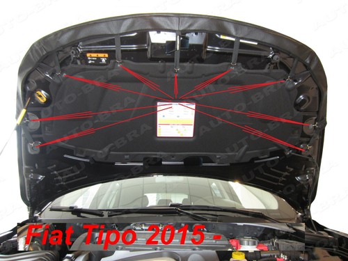 Carbon Optik BRA für Fiat Tipo Aegea Steinschlagschutz Haubenbra Tuning - Picture 3 of 5