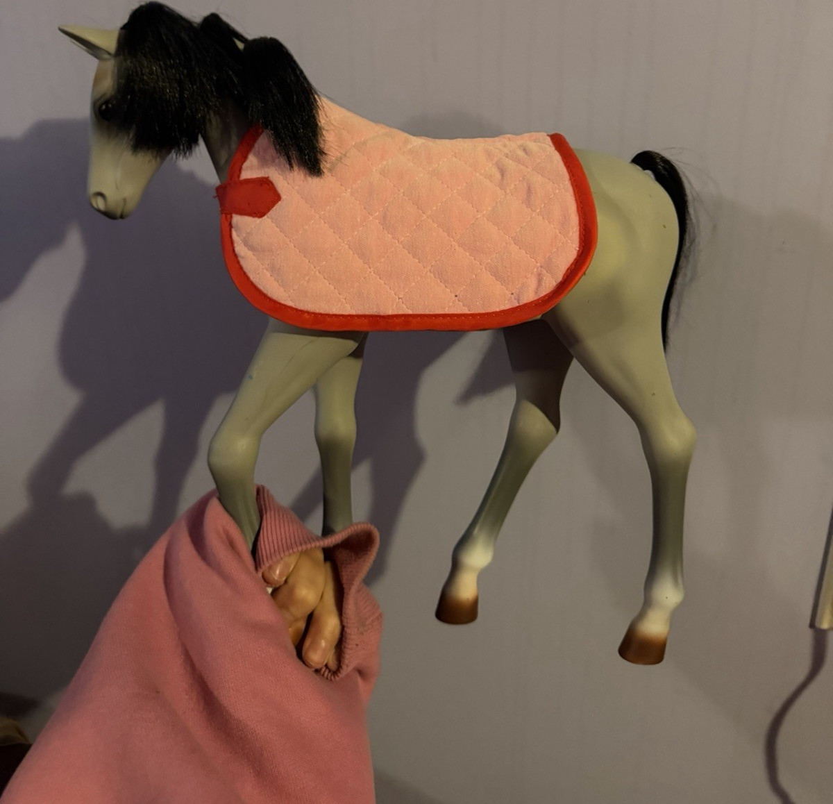 Our Generation Foal