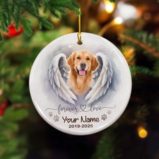 Personalized Pet Memorial Ornament, Custom Dog Cat Angel Wings Ornament with Nam