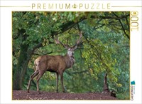 Calvendo Puzzle King Of The Forest | 1000 Pieces, Finished Size 25.2 × 18.9 In (