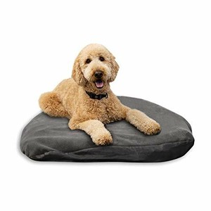 inflatable dog bed camping
