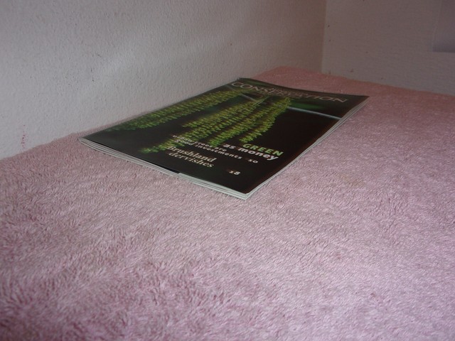 MINNESOTA CONSERVATION VOLUNTEER MAGAZINE BRUSHLAND ...