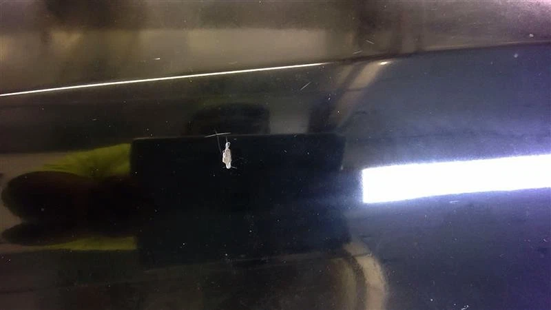 (LOCAL PICKUP ONLY) 99 00 01 02 03 04 05 06 07 FORD F250 SD PICKUP Hood - Изображение 4 из 4