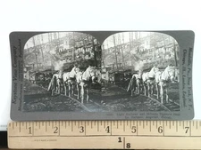 Light Railway and Hillside Dugouts Stereoview Keystone View Co. 1900s WWI