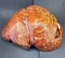 Amboyna Burl, Exotic Wood, Lumber