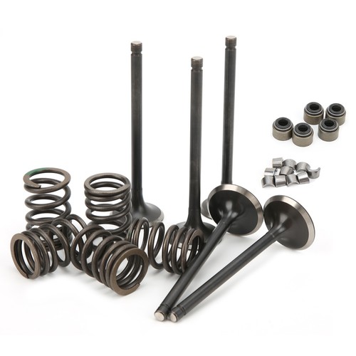 Cylinder Head Intake Exhaust Valve Kit Fit For GRIZZLY 660 YFM660F 4WD 2002‑2008 - Picture 11 of 22