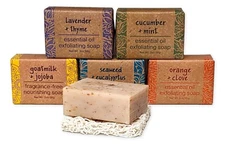 Set of 5 Greenwich Bay Shea Butter ESSENTIAL OIL Bar Soap 2 oz. with Soap Saver
