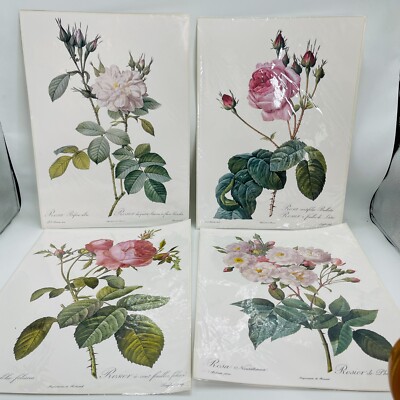 6 20th Century Pierre Joseph Redoute Rose Flower Botanical Color