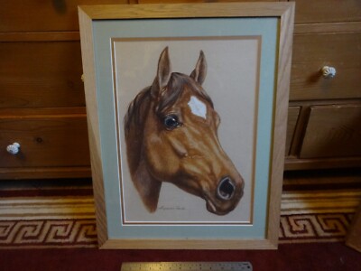 Pferdekopf Kastanie Hengst Portrait, groß gerahmt 37 x 62 cm Alexandra Jacob