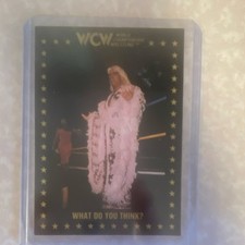 1991 Championship Marketing WCW Ric Flair What Do You Think? Wrestling Card #79