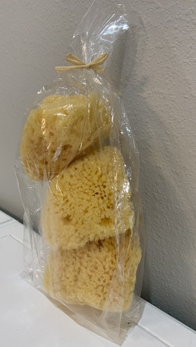 Ensemble gommage lavage peau éponges de mer naturelles poterie grange bain douche corps peau 3 dans son emballage d'origine - Photo 3/5