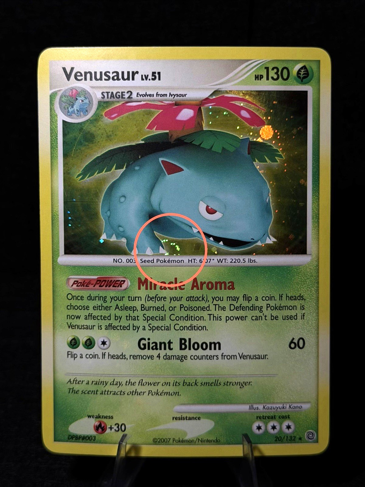 Pokémon TCG Venusaur Secret Wonders 20/132 Holo Holo Rare - NM