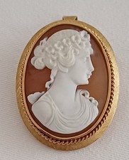 Anhänger, Brosche mit Kamee,Muschelgemme 585er Gold. 18 Gramm Sehr guter Zustand