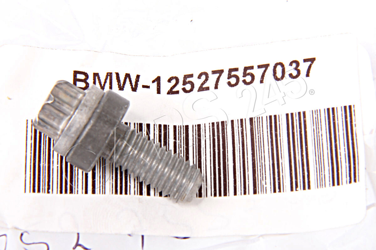 Genuine BMW Waterpump Aluminum Torx Bolt Screw M8X20mm 12527557037 