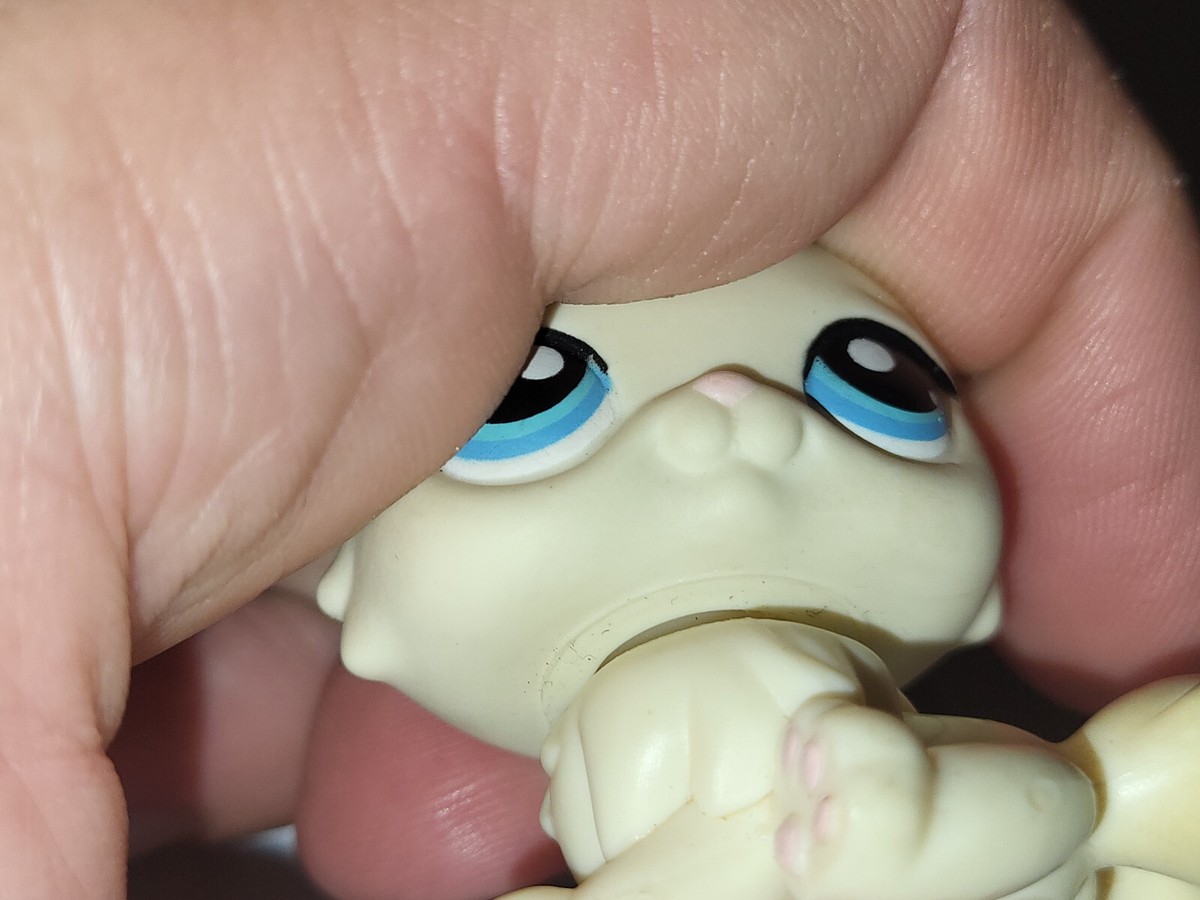 Lot De 4 Figurines Littlest Pet Shop – Chats Persans (réf. 878, 428, 15, 60) – Occasion Hasbro