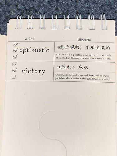 NEW Mermaid Foreign Language Study Manual Pocket Vocab Organizer Spiral Notebook - Picture 7 of 24