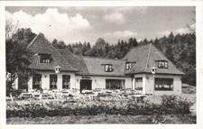 AK Reinbek gelaufen 1960, Waldhaus Loddenallee  (3017A61)