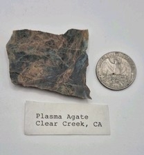 Plasma Agate Clear Creek Gem Beautiful Slab Rough Grade .70 Oz