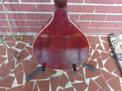 Vintage 12 String Mandolin - Mandriola / Trichord - Picture 8 of 14