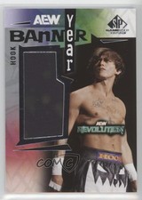 2025 SP Game Used AEW Banner Year 2024 REVOLUTION Hook #BYRV-HK ob9