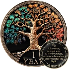 Sobriety Coin Gift Set 1 Year Tree of Life AA Chip with Capsule Stand and Card