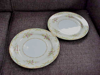 2 Vtg Noritake China Jasmine 10'' Dinner Plates  #585