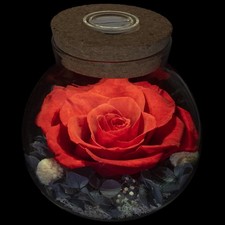 Preserved Real Roses with Colorful Mood Light Wishing Bottle, Eternal Rose 6529