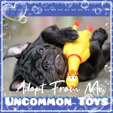    A 0PT All Stuff FRM M3 Today    Cheap     Uncommon   Toys      