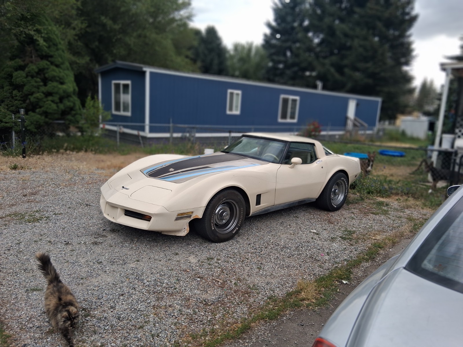 1980 Chevrolet Corvette for sale in Mead Washington