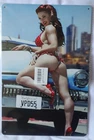 Garage PinUp Girl Sexy Hot Rod Metal Tin Sign Vintage Car with Sexy 8x12