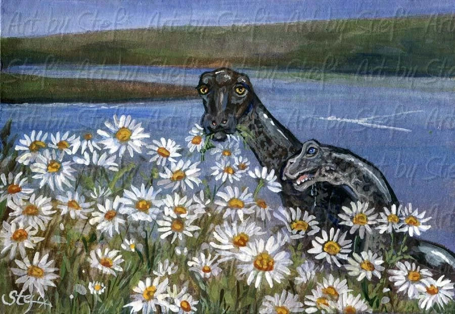 Loch Ness Daisies Nessie Cryptid Dinosaur Scotland ORG ACEO PAINTING Art by Stef