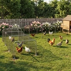 PawHut Extra Long Chicken Run, 354" x 39" Galvanized Steel Chicken Tunnel