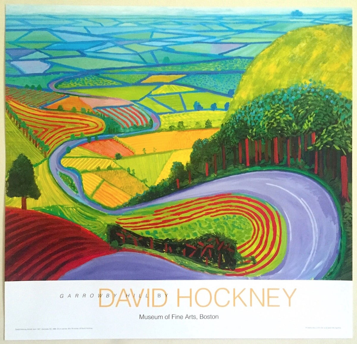 DAVID HOCKNEY OFFSET LITHOGRAPH PRINT POP ART MUSEUM POSTER