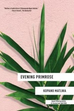 Evening Primrose by Matlwa, Kopano