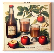 Apple Cider FRIDGE MAGNET sign advertisement "style B"
