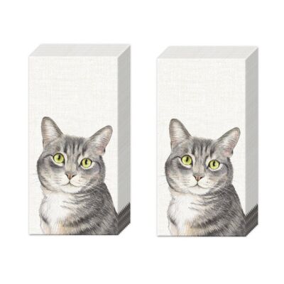 Bauernhof Katze Creme Tabby Tasche Neuheit Taschentücher 21 cm sq 4-lagig 2 Packungen