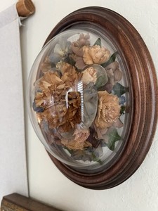 VTG Dried Flowers Botanical Domed Oval Shadow Box Romantic Wall Decor 3” Dome