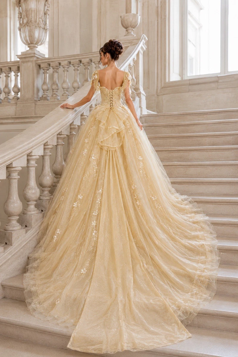 gold corset wedding dress Tulle Dresses for sale Wedding dress with corset color:Candy Pink white and gold wedding dress vintage womens Baby Toddler Girls LABUBU