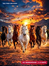 Horse Diamond Art Kits for Adults, 5D Diamond Painting Horse