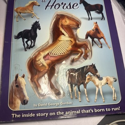 Uncover a Horse David George Gordon 2009 Hardcover Book
