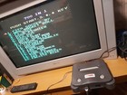Foto 17 di 19