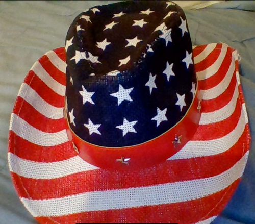 USA US American Flag Straw Patriotic 