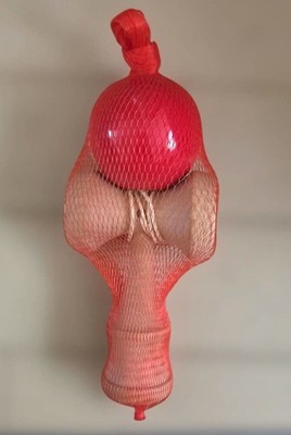 Kendama With Net Bag
